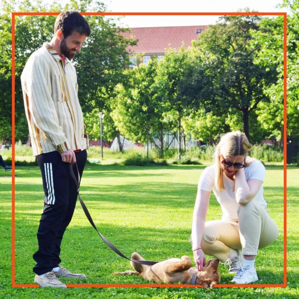 To hundeejere fra Klub Hund træner med deres hund i parken, hvor hunden ligger på ryggen og får ros og kærlig berøring.