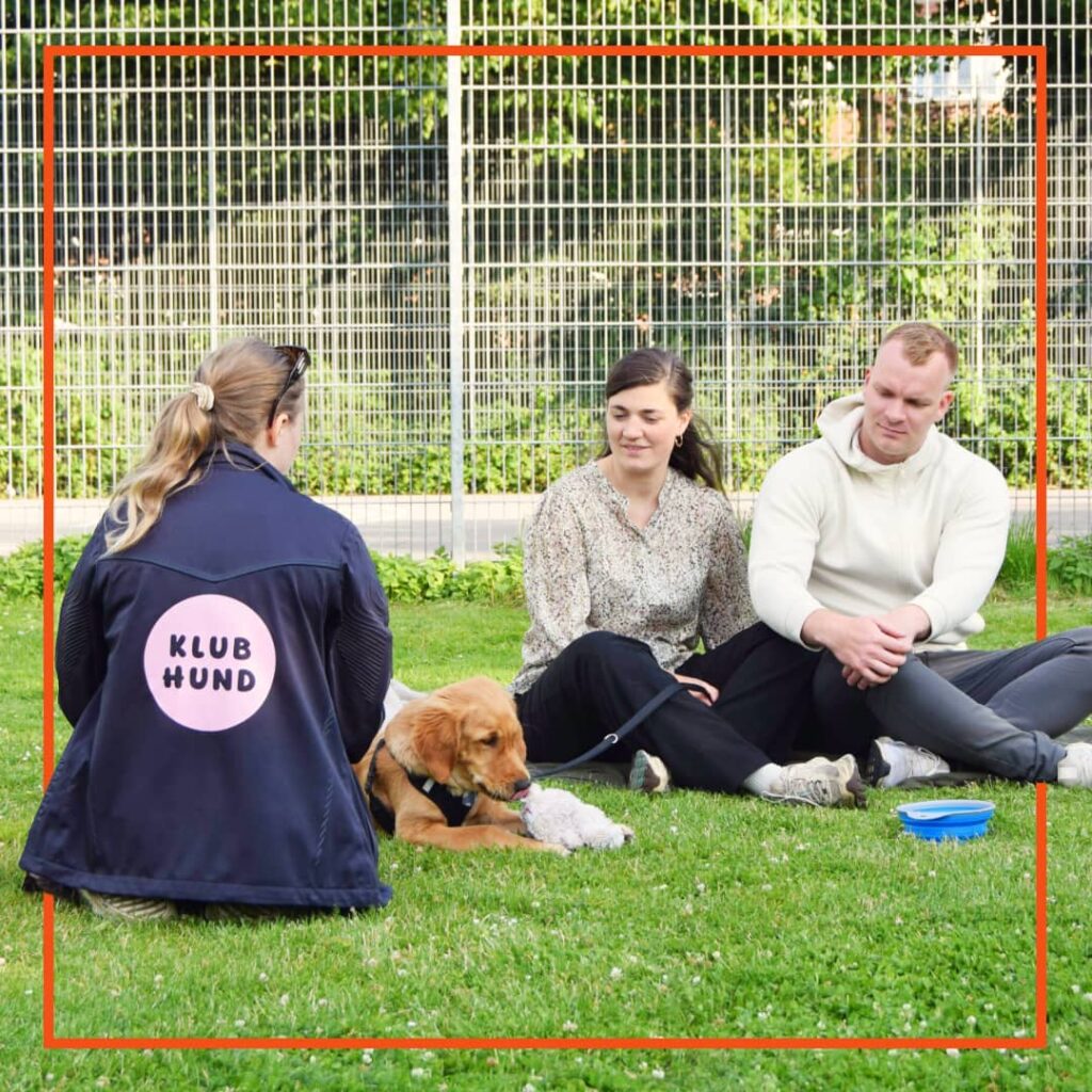 Hundetræner fra Klub Hund vejleder to hundeejere, mens deres hvalp leger med et tøjdyr på græsset under træningen.
