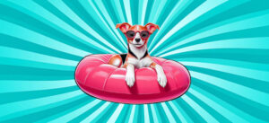 Glad hund ude og svømme med en badekrans.