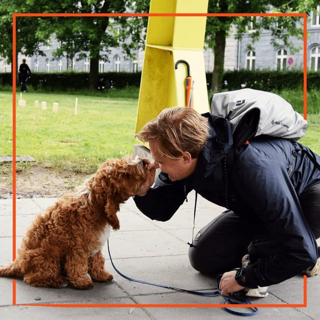 En person fra Klub Hund sidder på hug udendørs under en gul søjle og giver en godbid til en lille brun og hvid krøllet hund, der sidder foran ham. Personen bærer en mørk jakke og rygsæk, mens hunden har snor på. Situationen viser positiv hundetræning med belønning.