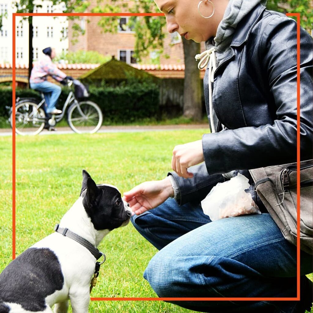 En deltager i hundetræning hos Klub Hund sidder på græsset og belønner en lille sort hvalp, der sidder foran hende og ser opmærksomt op. Med et smil rækker hun en godbid frem som en del af den positive træning, hvor fokus er på kontakt og samarbejde mellem hund og ejer.