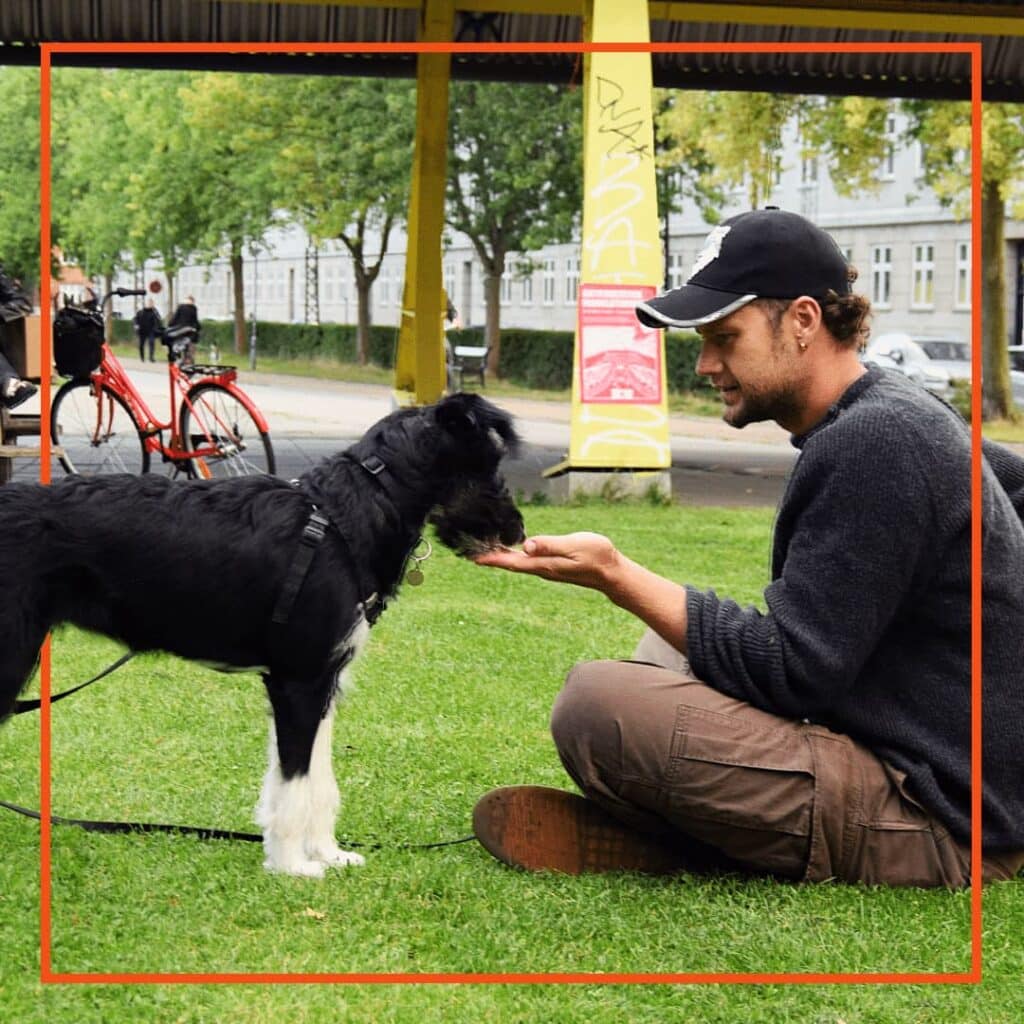 Mand sidder på græsset og laver hundetræning med en sort og hvid hund, der får en godbid fra hånden. Billedet er taget under Klub Hunds hundetræning.