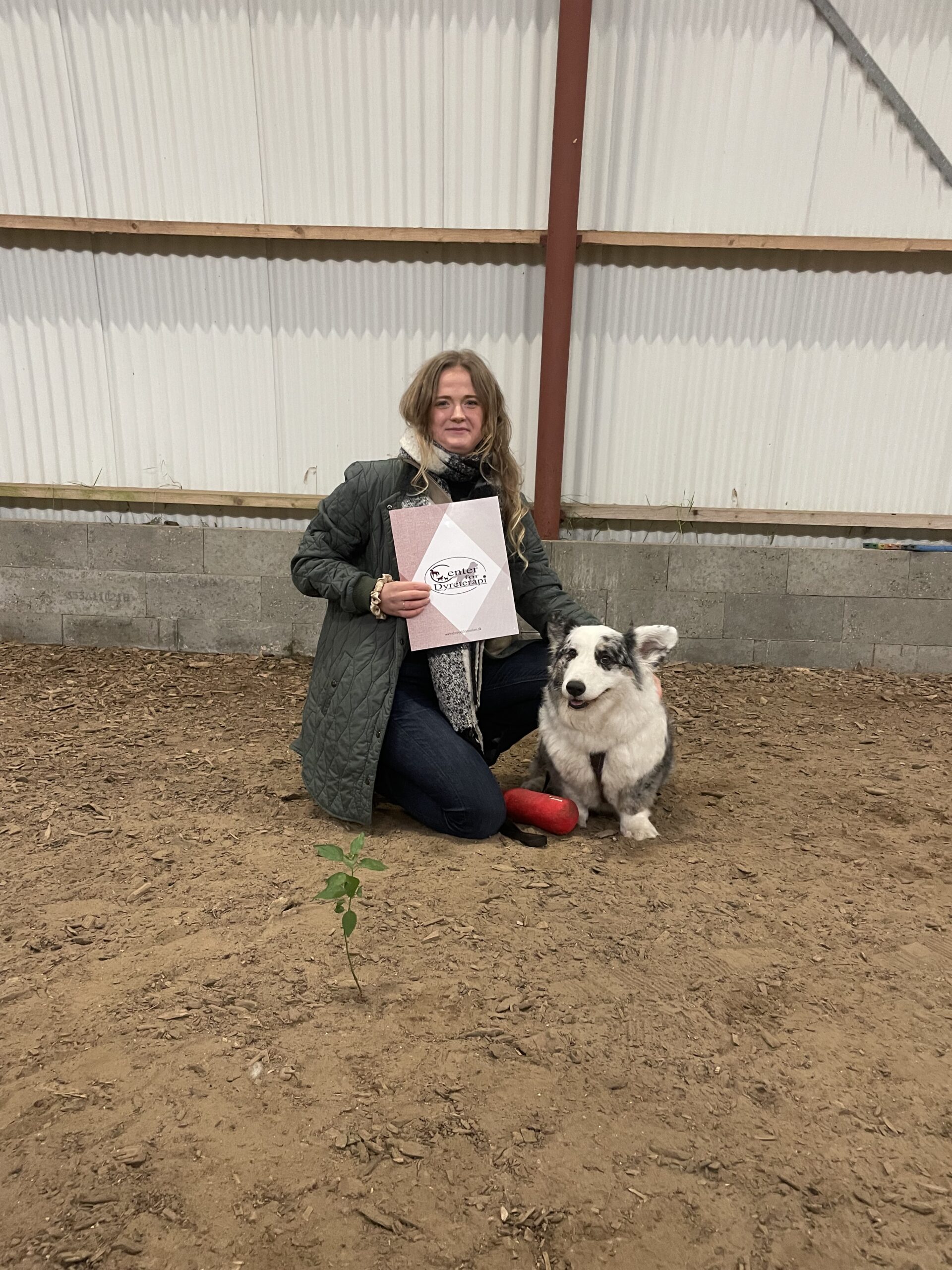 Professionel hundetræner Signe hvalpehold, hundetræning, unghundetræing, lydighedstræning og rally i København, Nørrebro og Frederiksberg