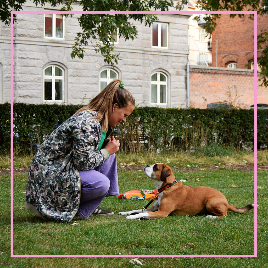 Hundetræning og Hvalpetræning - Klub Hund – Hvalpehold København, Nørrebro, Frederiksberg. Østerbro, Amager