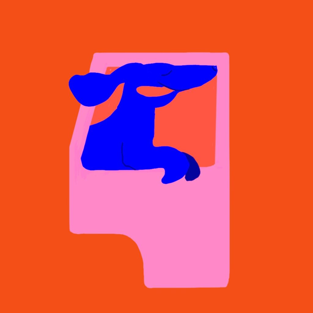 Grafik af en hund som sidder med hovedet ud af en bilrude. Det er grafikken til blogindlægget Sådan tager du hunden med i offentlig transport eller bil.