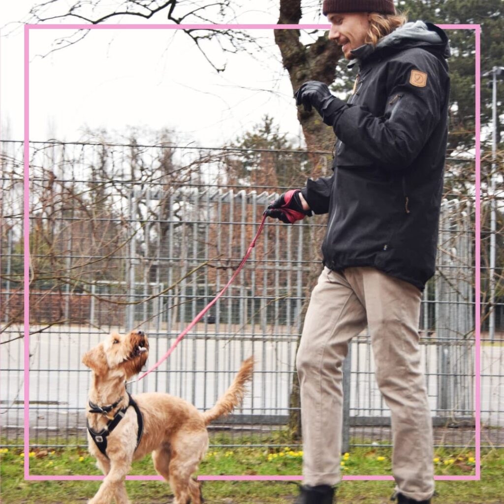 En mand iført sort jakke, hue og handsker går med en lys hund i snor på en græsplæne. Hunden kigger opmærksomt op på manden, mens de træner sammen udendørs.