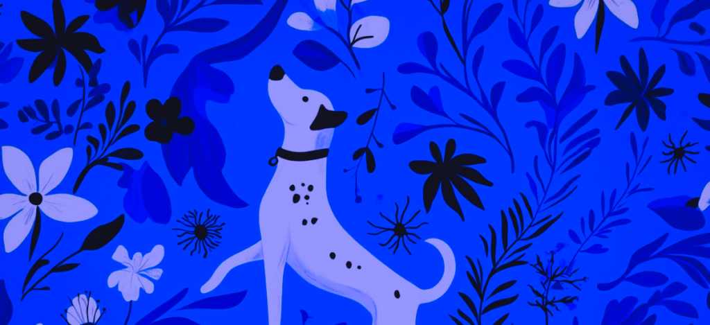 Klub Hund - hundens liv - Hund og flåter: sådan beskytter du din hund