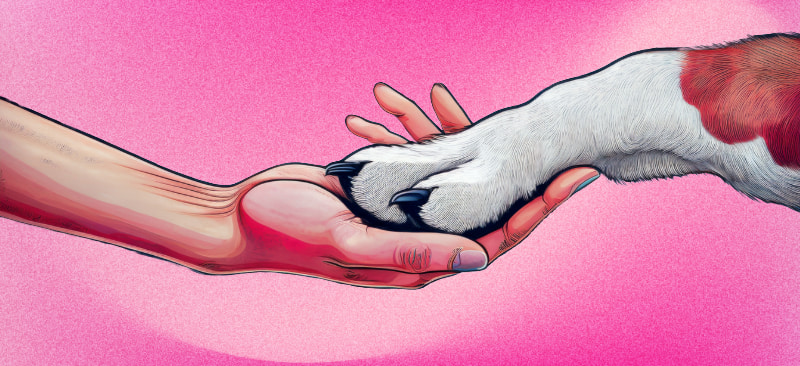 Menneske holder hunds pote i sin hånd.