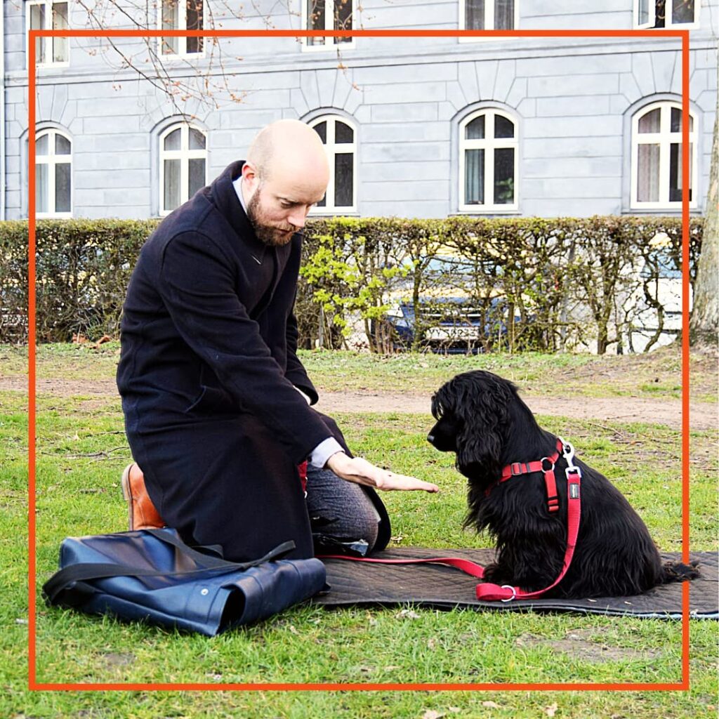 n hundeejer deltager i hundetræning med Klub Hund, hvor han sidder på græsset og træner med sin sorte hund i rødt sele. Hunden sidder roligt foran ham og fokuserer på hans håndsignal, som bruges til at guide øvelsen.