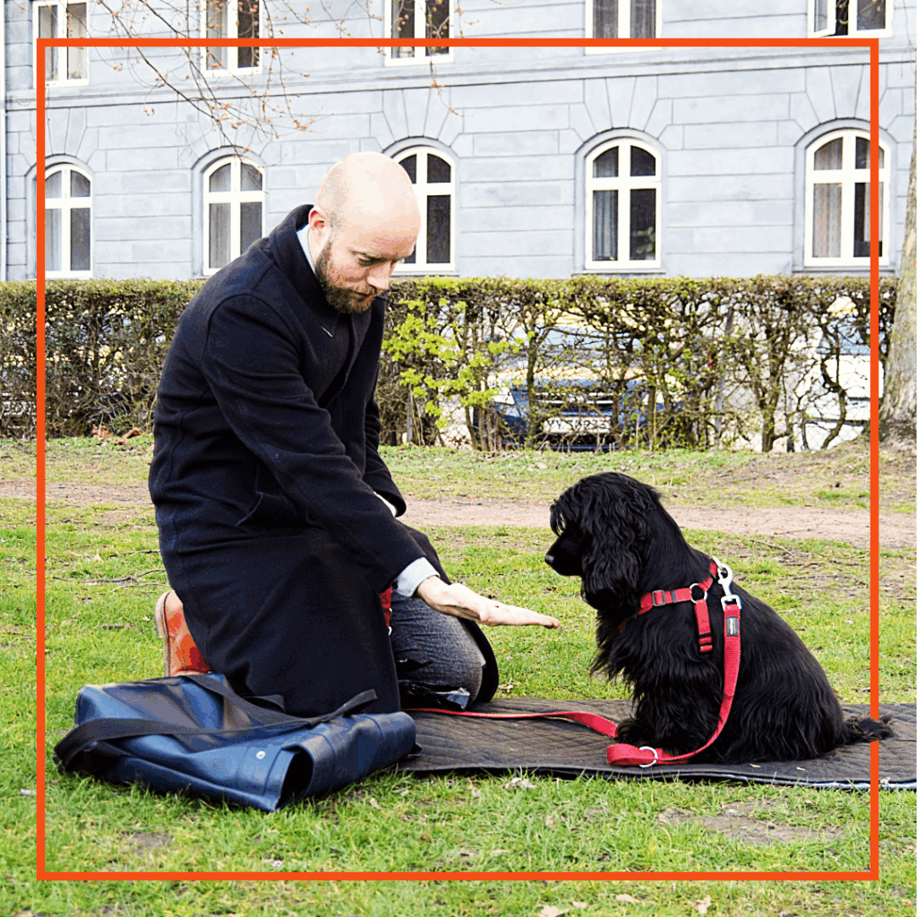 Targethold - Klub Hund – Targethold København, Nørrebro, Frederiksberg. Østerbro, Amager