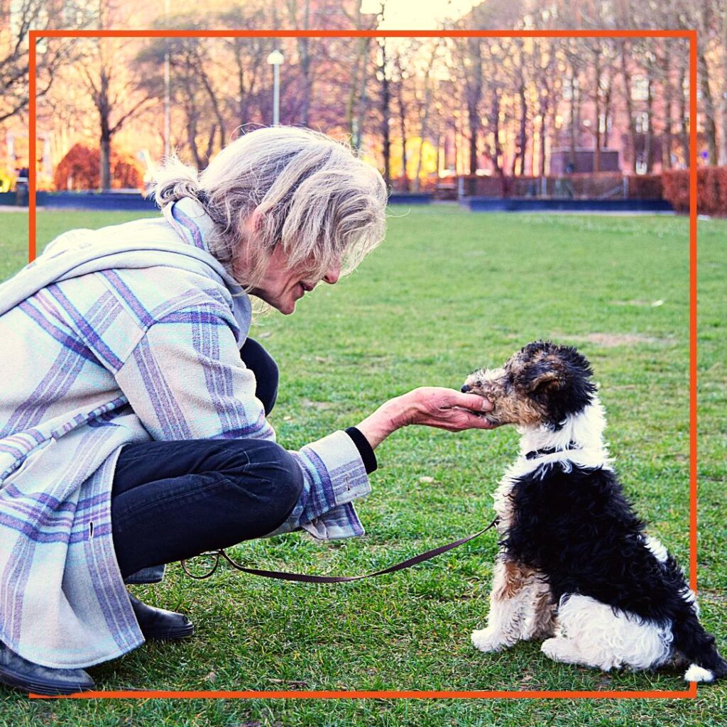 En hundeejer deltager i hundetræning hos Klub Hund. Personen sidder på græsset i en park og træner en lille sort-hvid hundehvalp i at tage godbidder roligt fra hånden. Træningen foregår i rolige omgivelser, hvor fokus er på positiv forstærkning og samarbejde mellem hund og ejer.