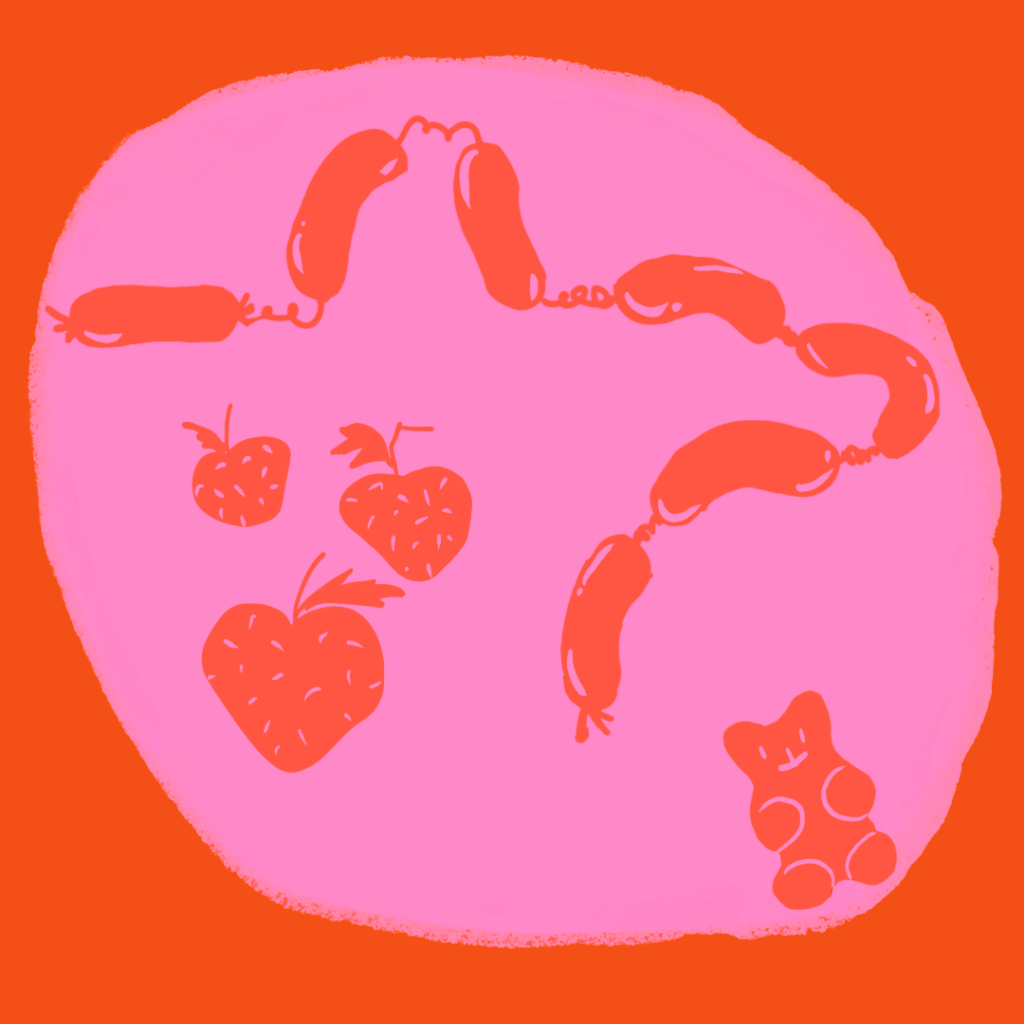 Grafik af en masse forskelligt mad som eksempler på hvad, og hvad ikke en hund på få lov til at spise.