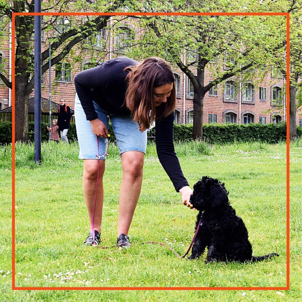 En kvinde deltager i hundetræning med sin sorte hvalp i en park. Hun står bøjet forover og giver hunden en godbid, mens den sidder roligt på græsset i snor. Træningen foregår som en del af Klub Hunds positive tilgang til hundetræning i byens grønne områder.