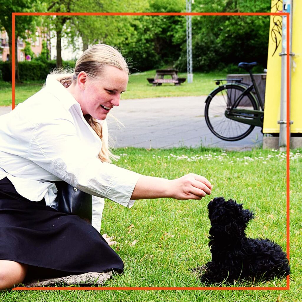 En deltager i hundetræning hos Klub Hund sidder på græsset og belønner en lille sort hvalp, der sidder foran hende og ser opmærksomt op. Med et smil rækker hun en godbid frem som en del af den positive træning, hvor fokus er på kontakt og samarbejde mellem hund og ejer.