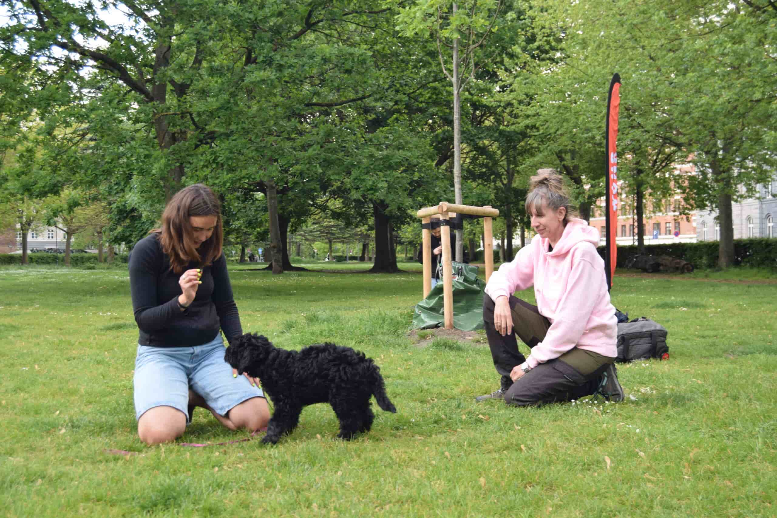 Hundetræning i parken med Klub Hund. En hundeejer sidder på knæ foran sin sorte hundehvalp og træner kontakt med en godbid, mens en hundetræner fra Klub Hund følger med og guider. Situationen viser positiv træning, hvor samarbejde og belønning er i fokus.