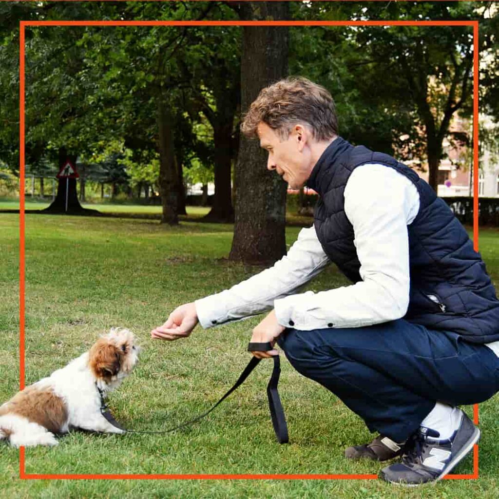 Hundeejer træner sin lille hund i at sidde og tage imod godbidder under hundetræning i parken med Klub Hund.
