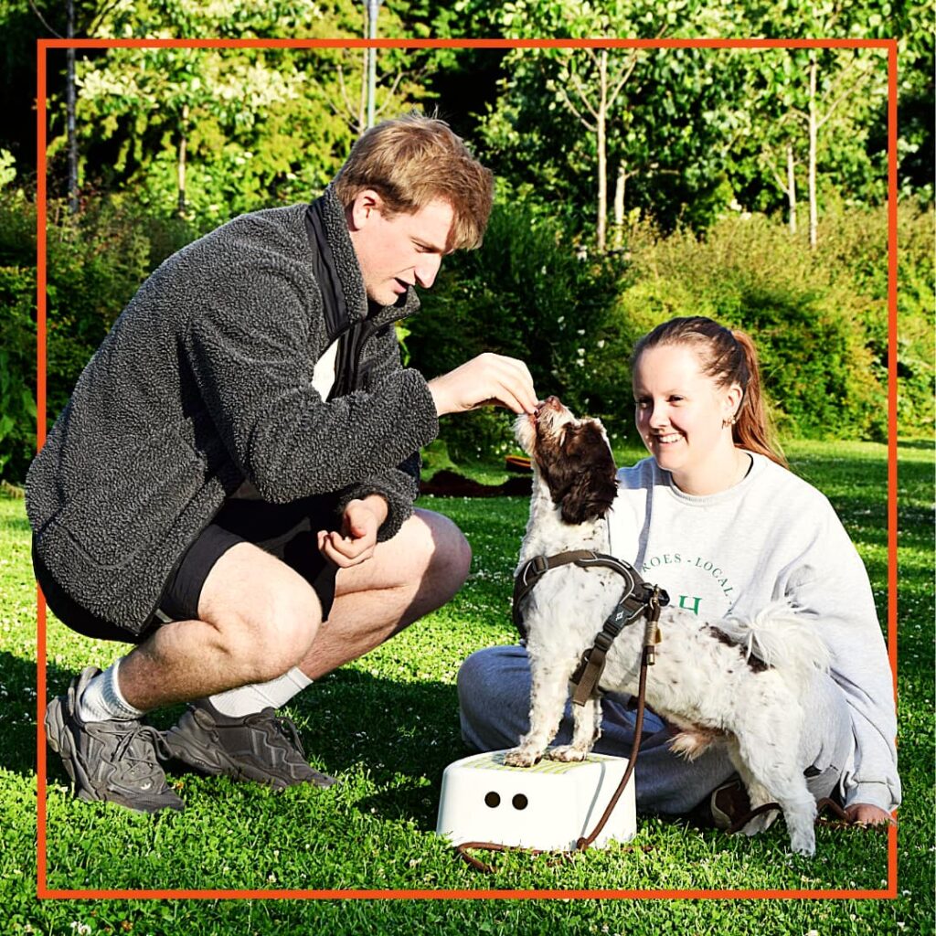 Hundeejere fra Klub Hund laver hundetræning med en lille spaniel, der står med forpoterne på en skammel og får en godbid som belønning.