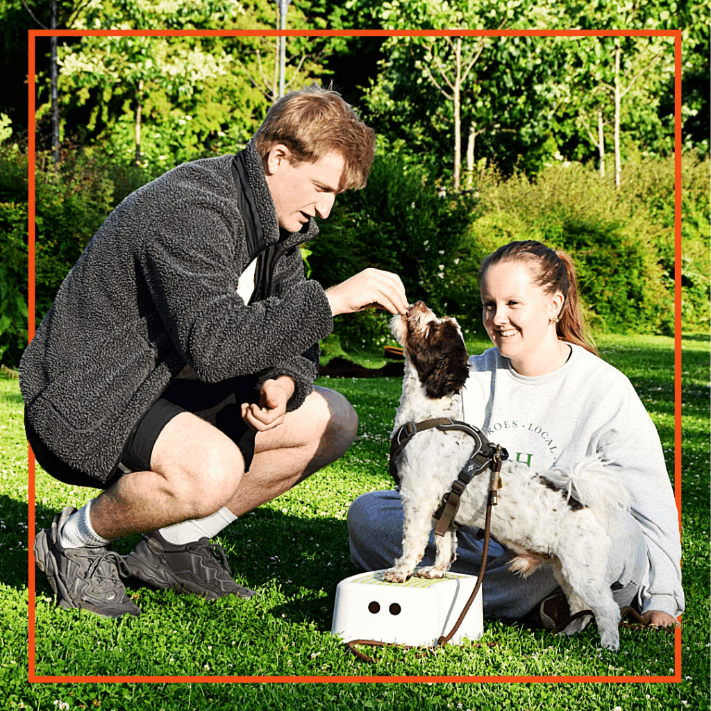 Hundeejere fra Klub Hund laver hundetræning med en lille spaniel, der står med forpoterne på en skammel og får en godbid som belønning.