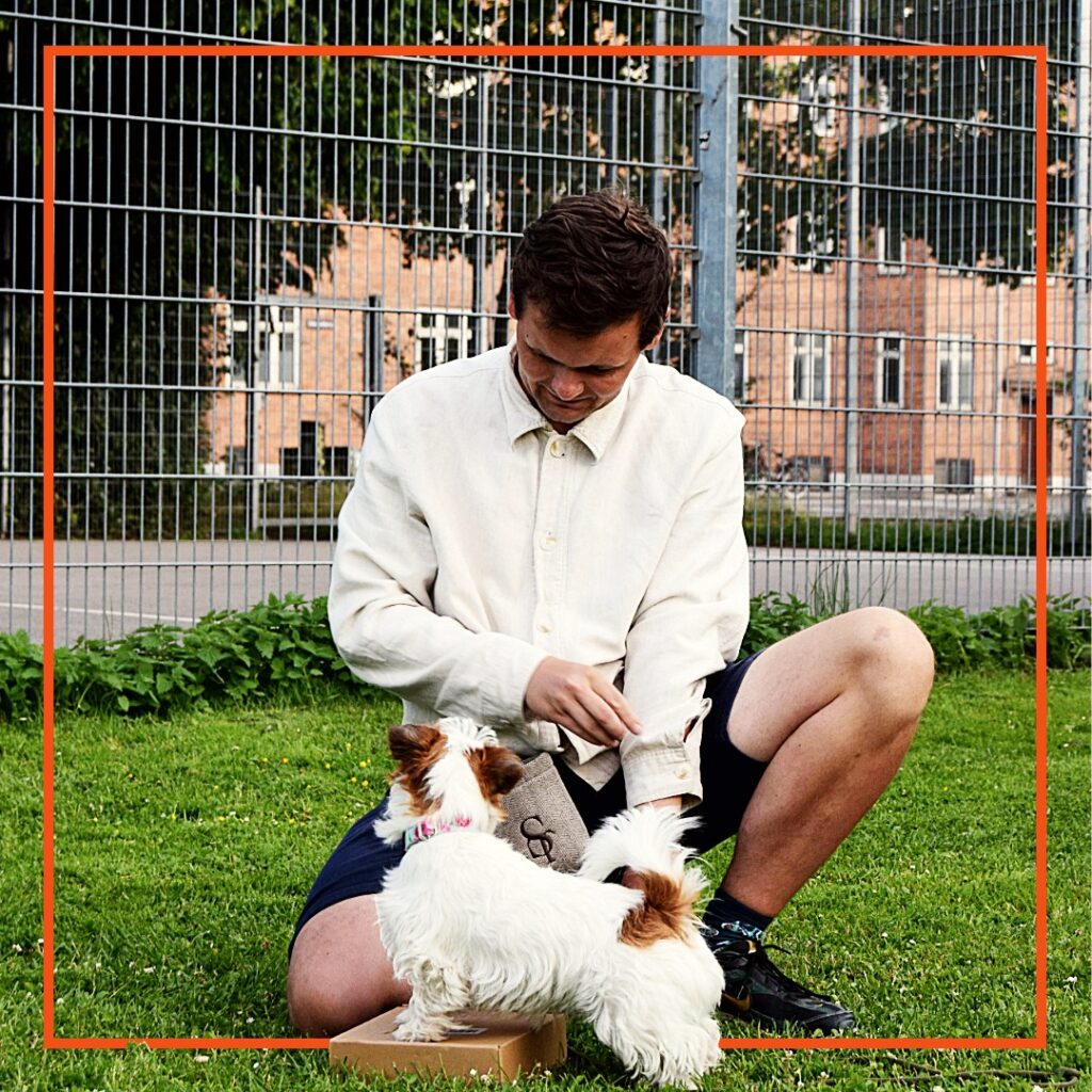 Hundeejer fra Klub Hund laver hundetræning i parken, hvor en lille hvid og brun terrier øver øvelsen “stå” med forpoterne placeret på en kasse.