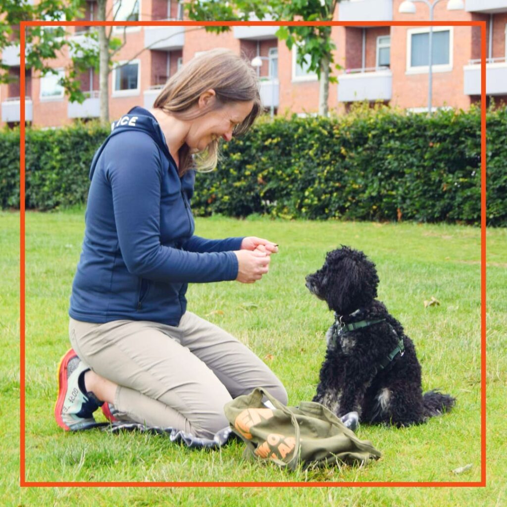 Hundeejer fra Klub Hund laver hundetræning på græsset med en sort krøllet hund, der sidder og venter på en godbid.