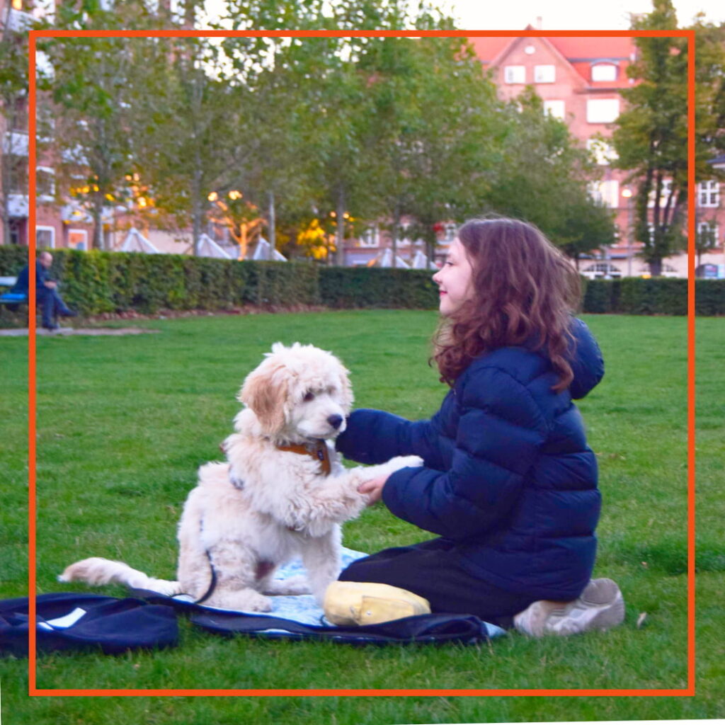 Pige laver hundetræning i en park, hvor hun lærer en ung, krøllet hund at give pote, mens de sidder sammen på et tæppe i græsset.