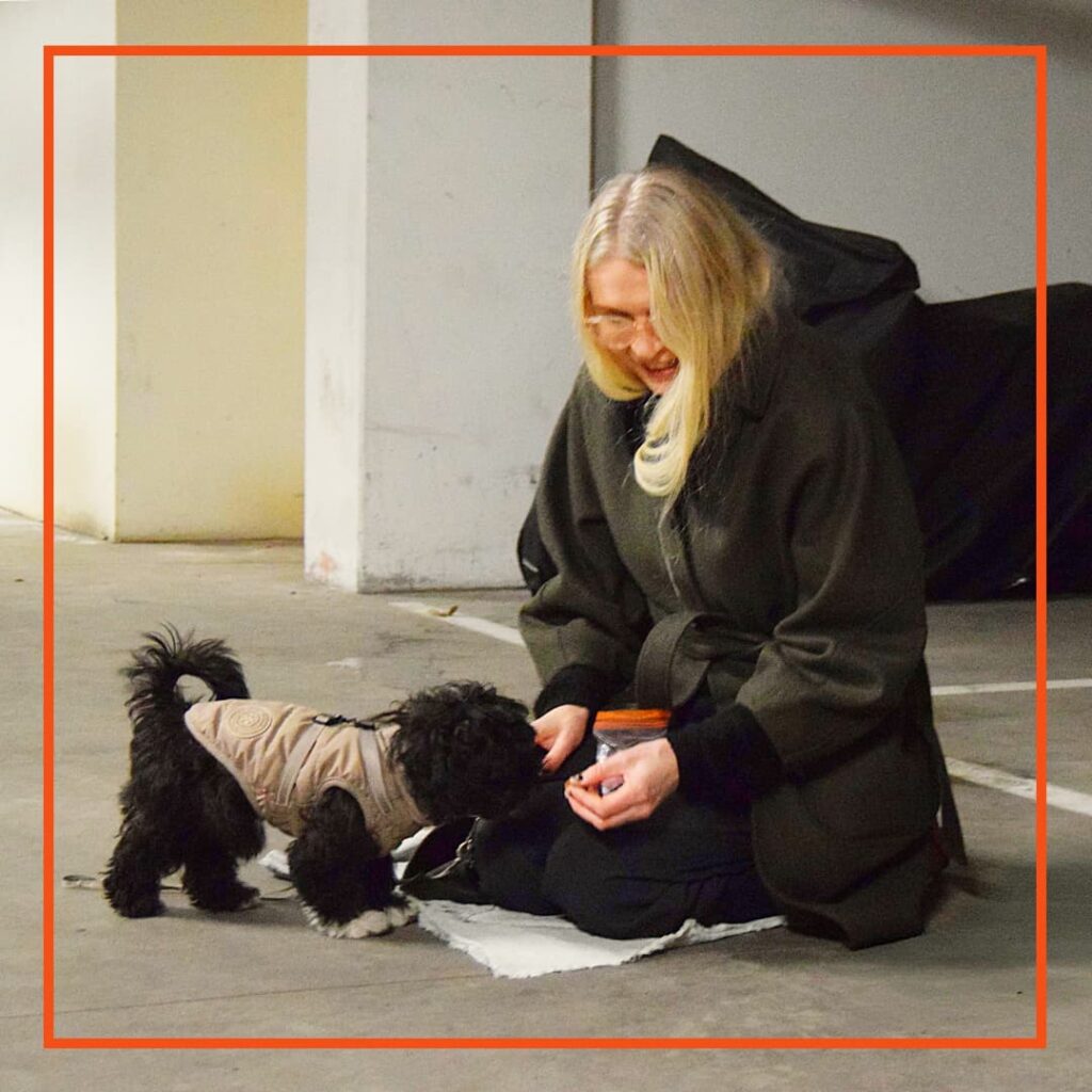 Hvalp træner indendørs med sin ejer til hundetræning hos klub hund.