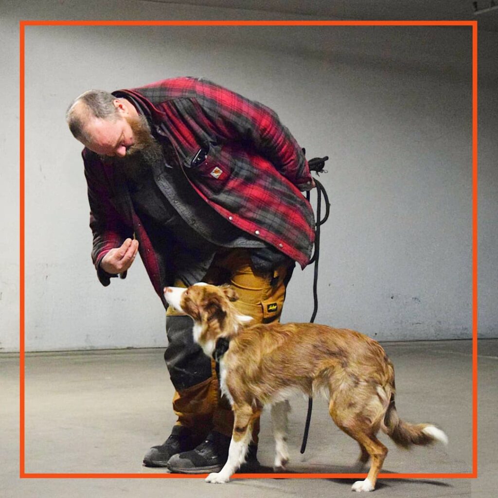 Unghund træner indendørs med sin ejer til hundetræning hos klub hund.