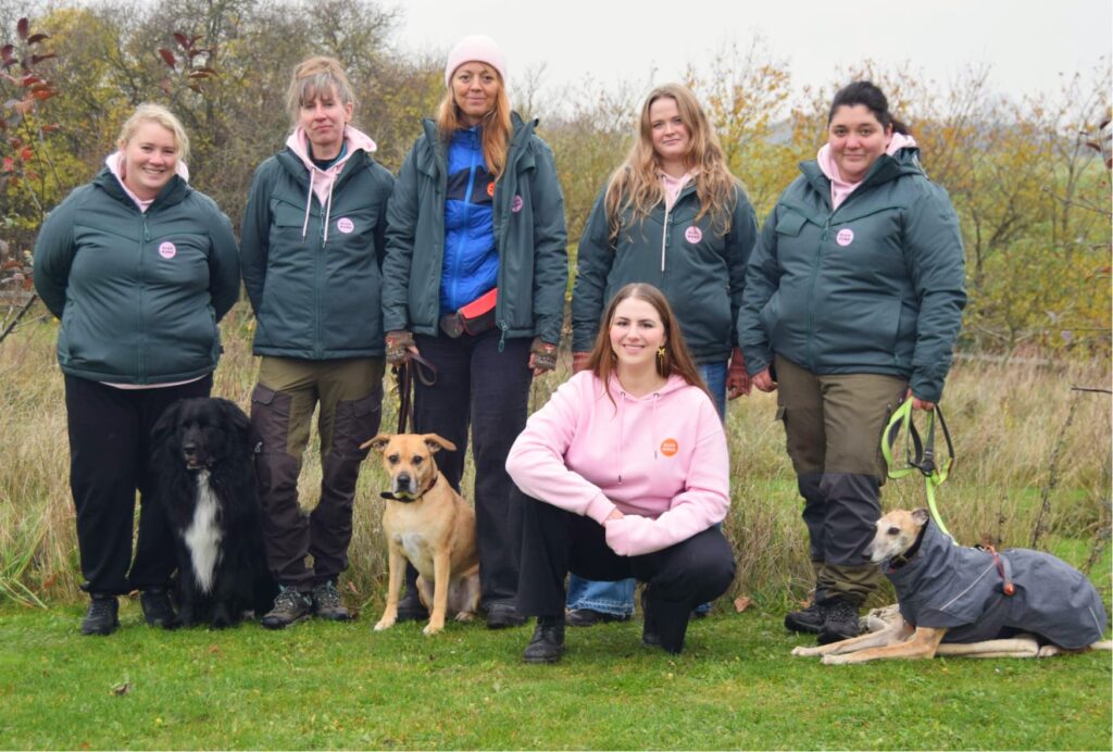 Hele flokken bag klub hund