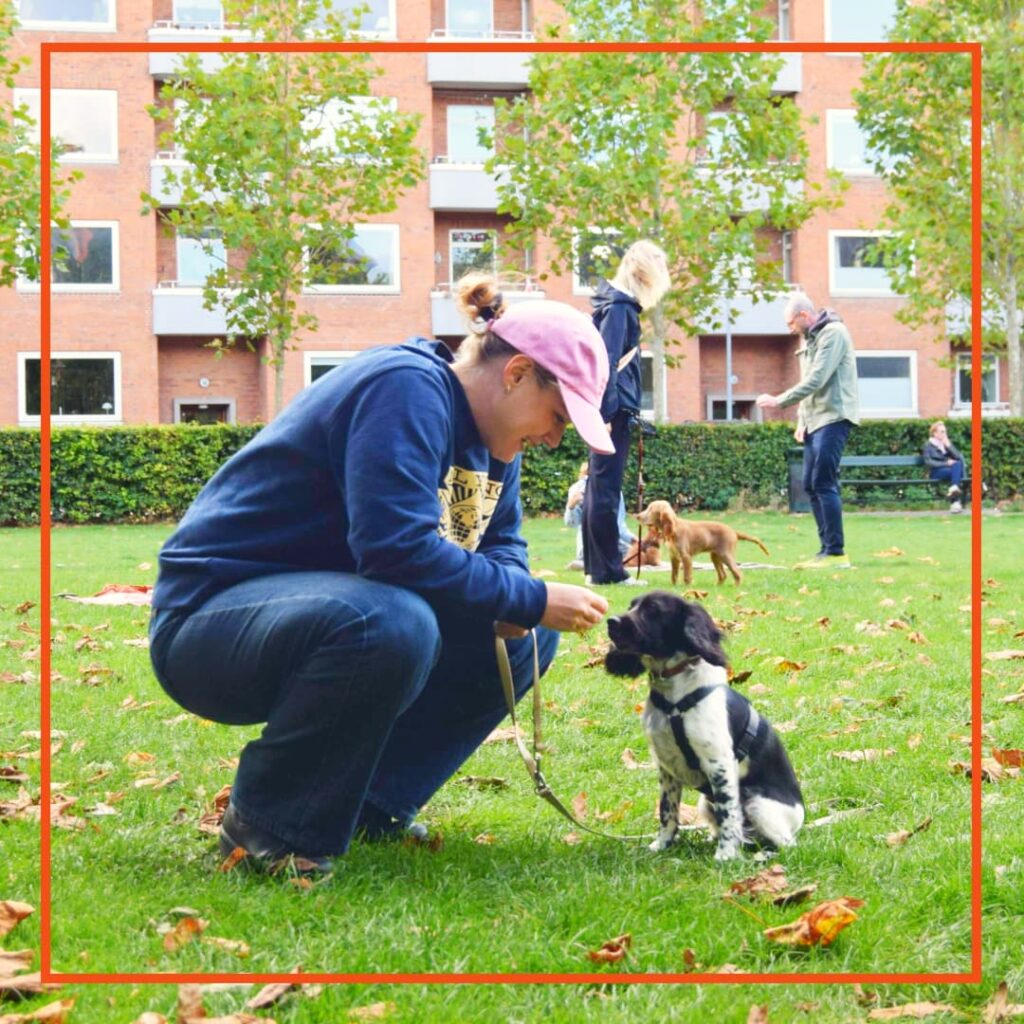 Kvinde sidder på hug og træner med sin hund til unghundetræning hos klub hund