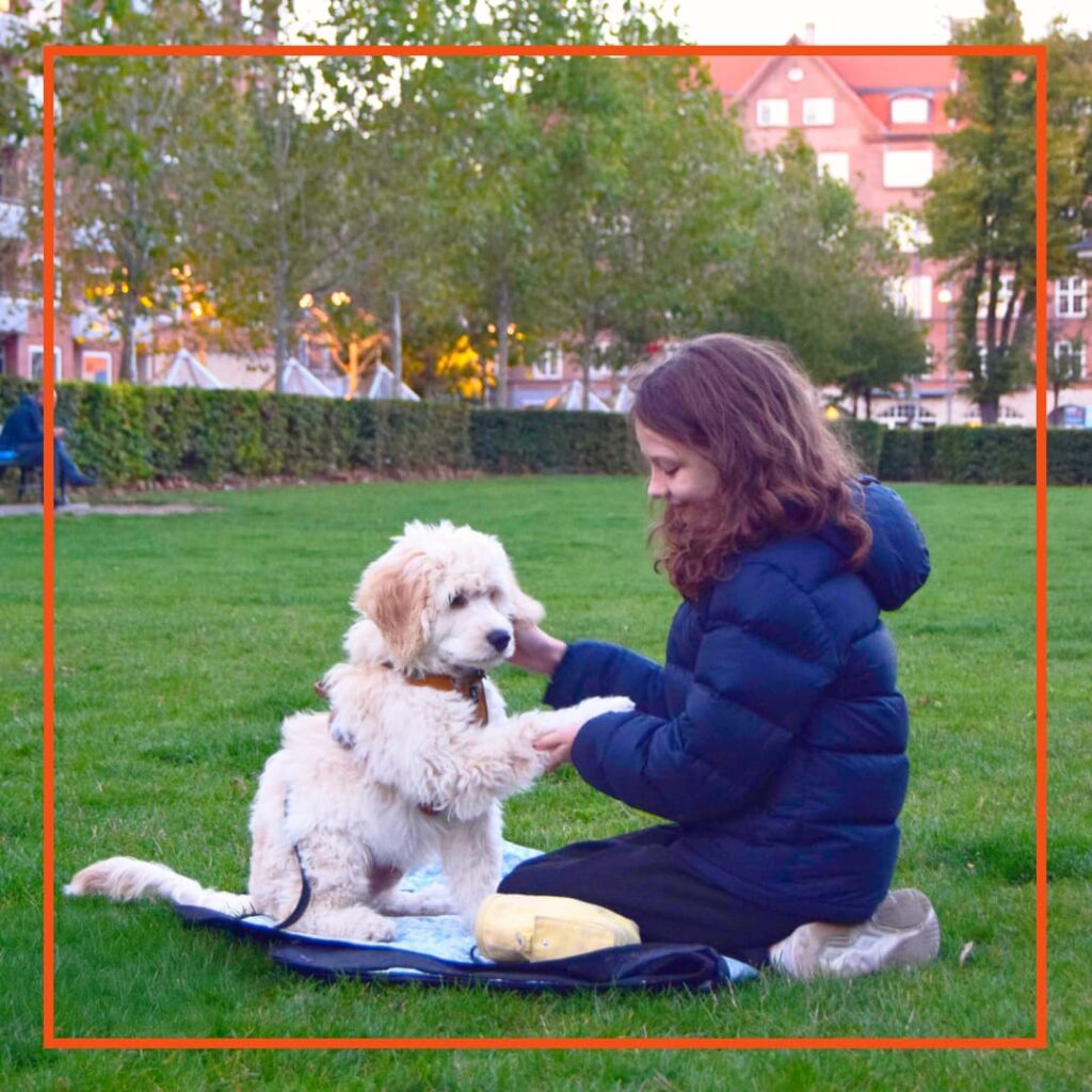 Pige laver hundetræning i en park, hvor hun lærer en ung, krøllet hund at give pote, mens de sidder sammen på et tæppe i græsset.