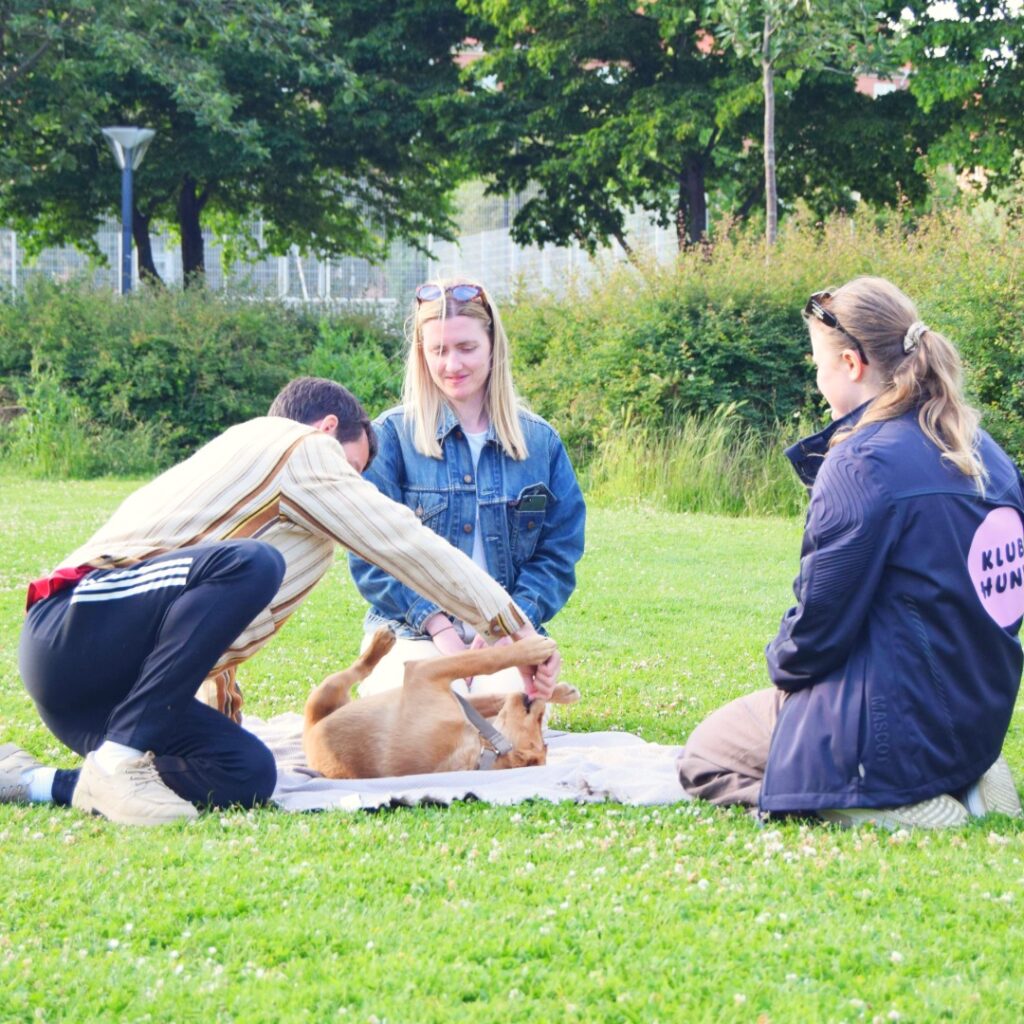 Klub Hund nyhedsbrev