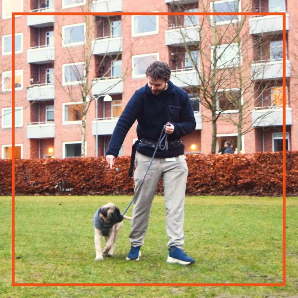 Kunde hos klub hund som er igang med at træne sin unghund.