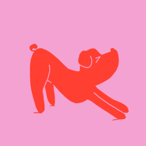 Grafik af en hund som strækker sig. Billedet er fra en artikel om de oftest stillede spørgsmål om hundehvalpe