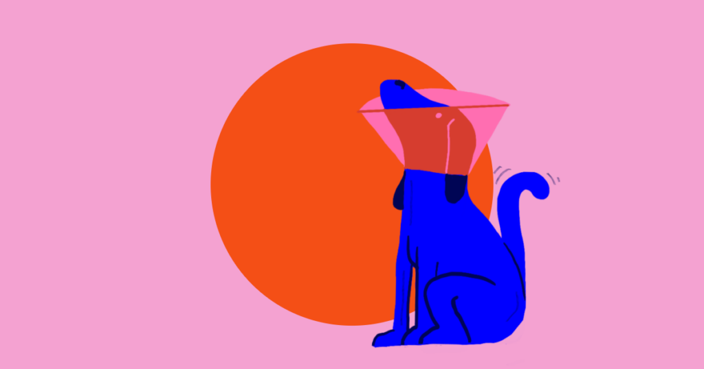 Grafik af en hund med en lampeskærm på efter at den er blevet kastreret. Grafikken tilhører en artikel der omhandler kastration af hunde, fordele og ulemper, samt hvornår det giver mening at kigge på det.