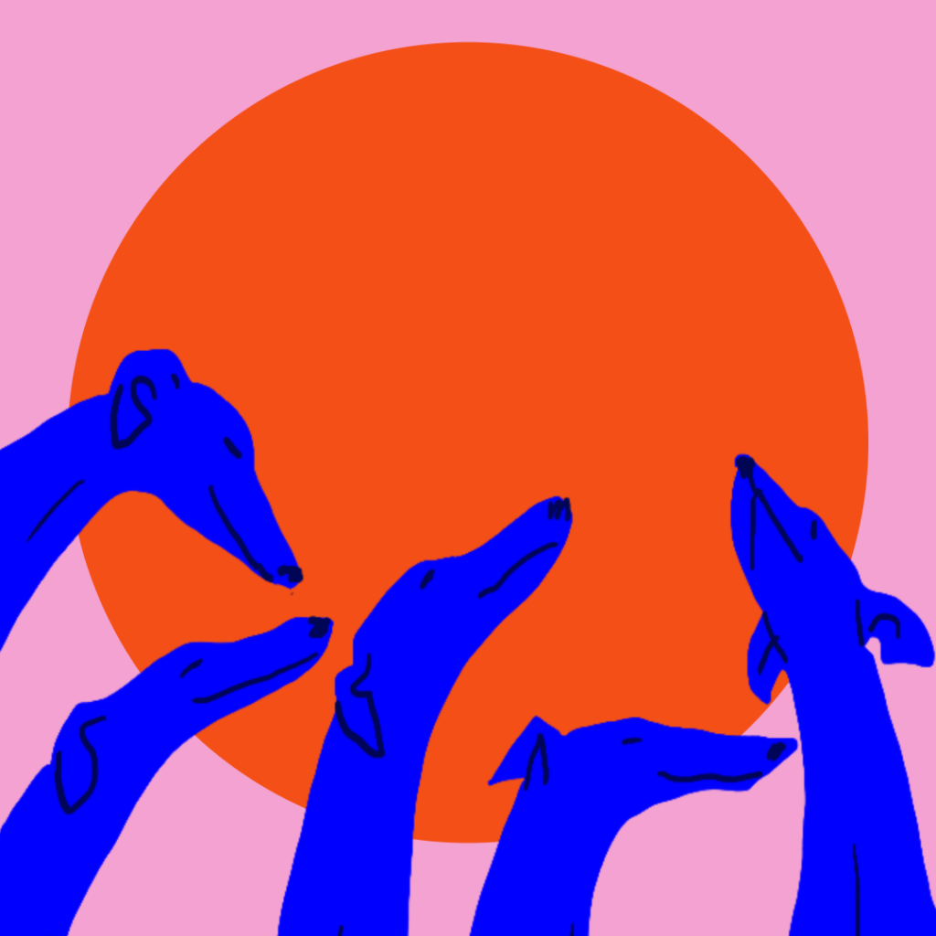 Grafik af 5 unghunde mod en pink baggrund. Til artiklen "umulige" unghund, som omhandler de homonelle forandringer en hund oplever.