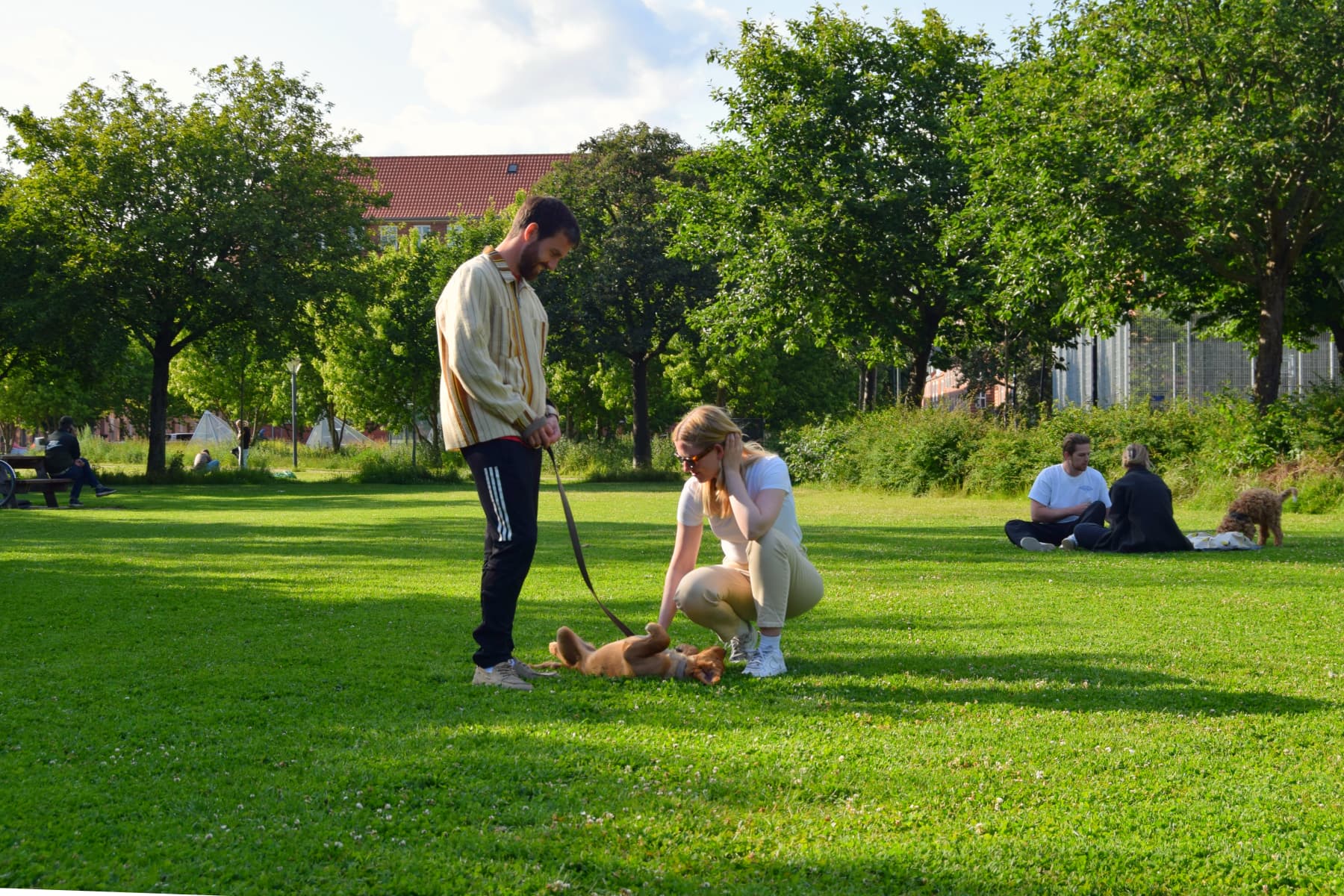Deltagere og deres hund træner til hundetræning hos klub hund