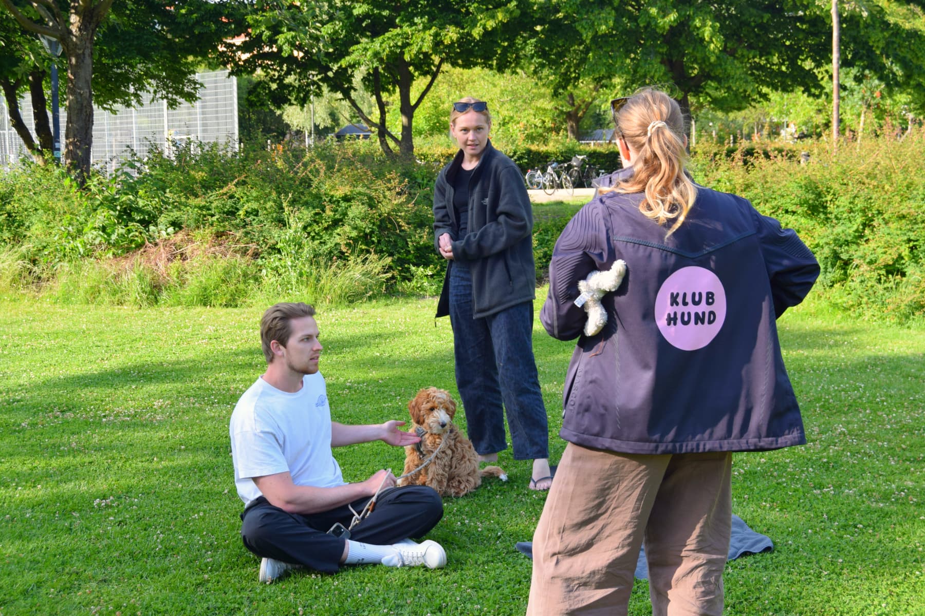Hundetræning på Amager hvor hundetræner står og snakker med ejere