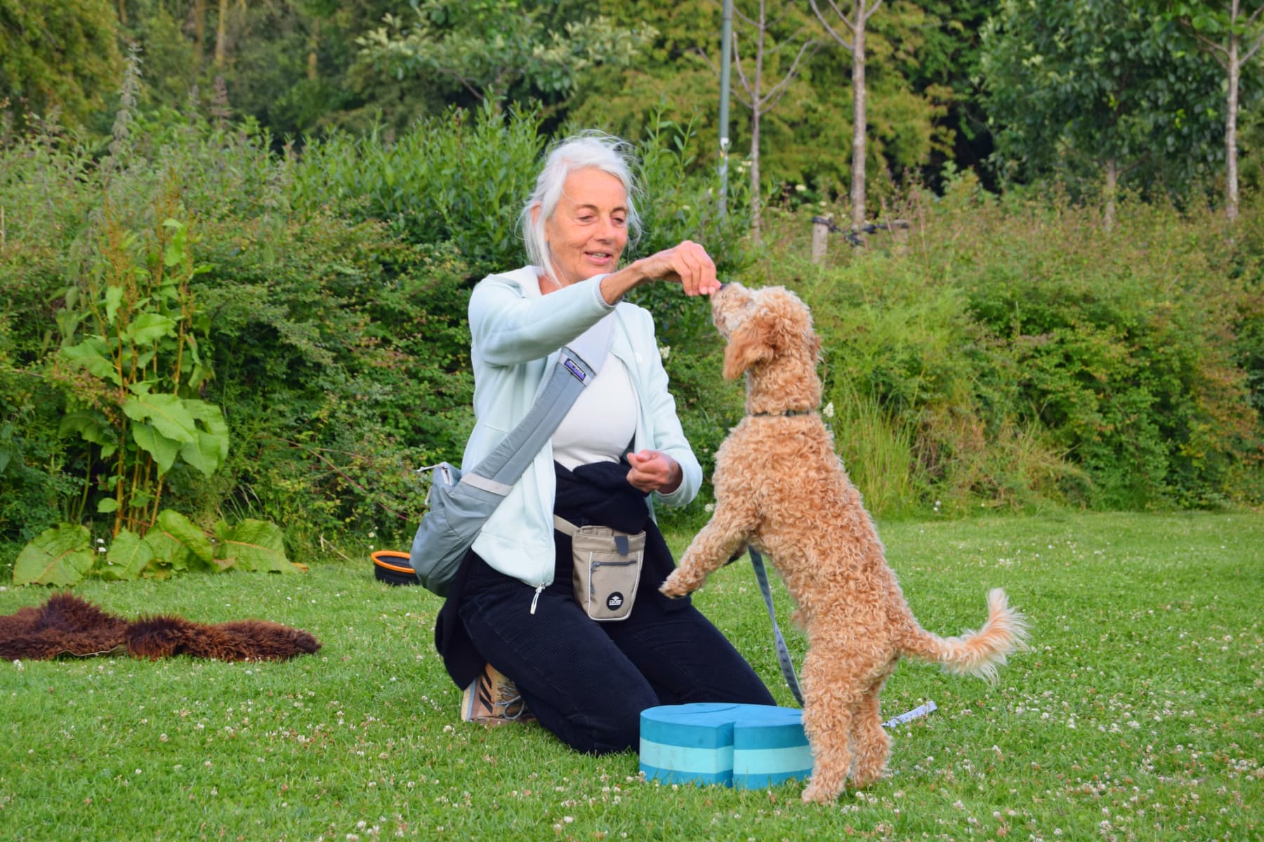 fido-ib og ejer træner til soft agility på Amager hos Klub Hund