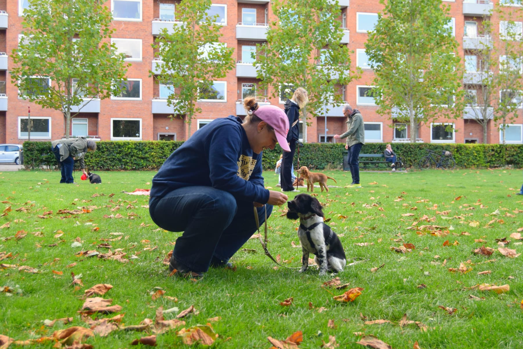 Holddeltager træner sin hund på Frederiksberg på unghundeholdet