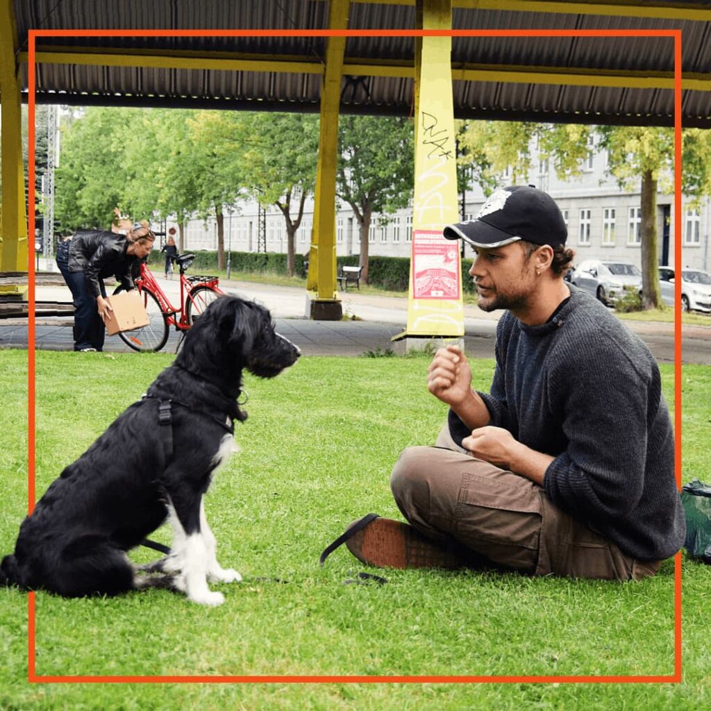 Ejer og hund er til hundetræning hos Klub Hund på Nørrebro. Hund og ejer sidder overfor hinanden, og det er en positiv interaktion mellem dem.