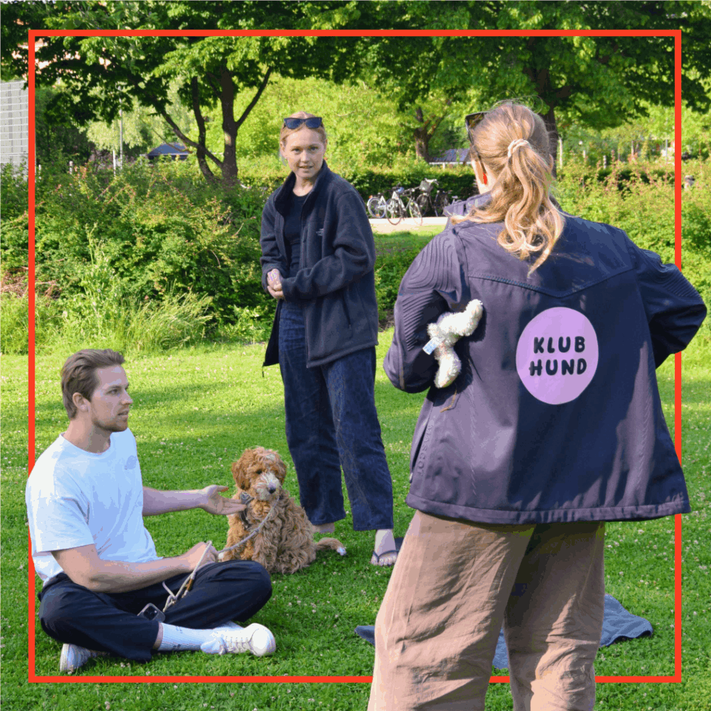 Hundetræner fra Klub Hund vejleder to hundeejere med adfærdstræning, mens deres hvalp sidder imellem dem på græsset.