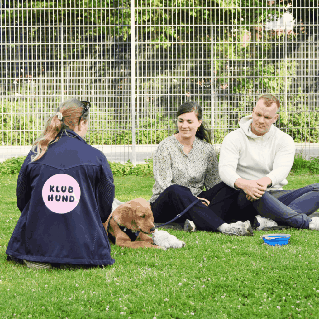 Hundetræner fra Klub Hund vejleder to hundeejere, mens deres hvalp leger med et tøjdyr på græsset under træningen.